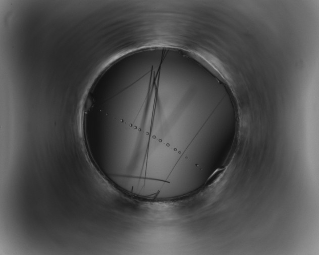 X0000089351246200706151055