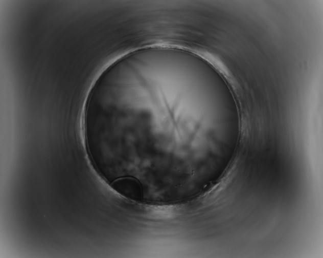 X0000089351247200706151055