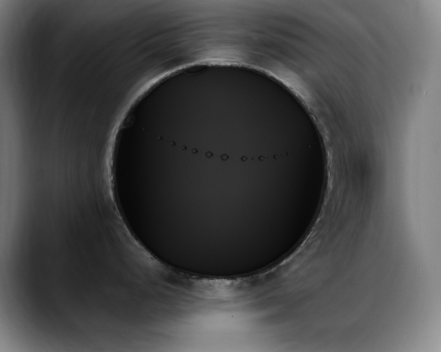 X0000089351248200706151056