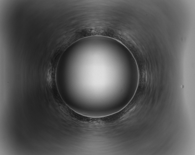 X0000089351250200706151055