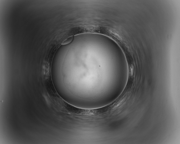 X0000089351251200706151055