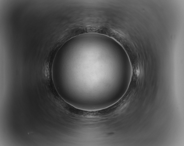 X0000089351252200706151055