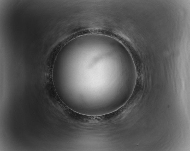 X0000089351255200706151055