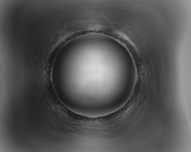 X0000089351256200706151055