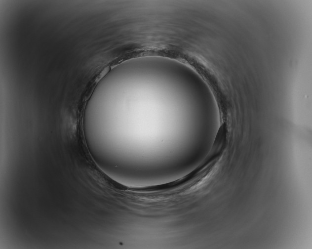X0000089351257200706151055