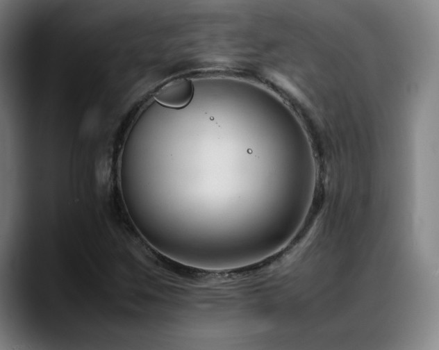 X0000089351259200706151055