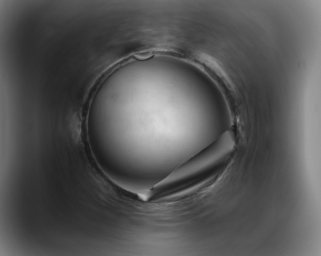 X0000089351260200706151055