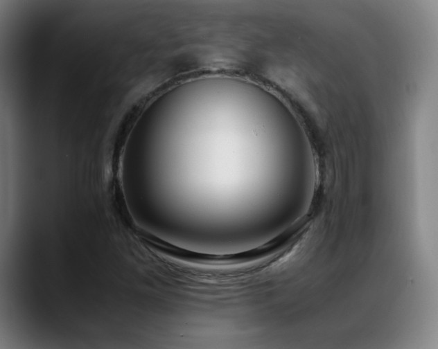 X0000089351261200706151055