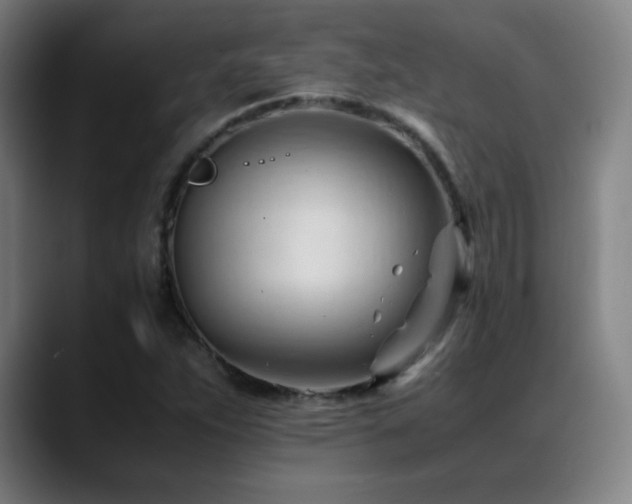 X0000089351263200706151055