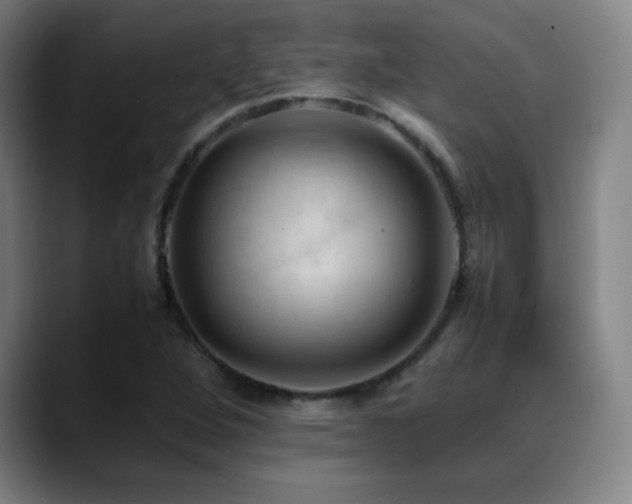 X0000089351264200706151055