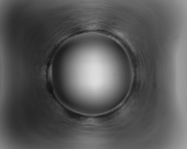 X0000089351265200706151055