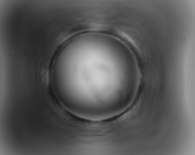 X0000089351267200706151055