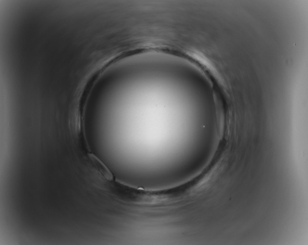 X0000089351269200706151055