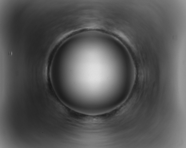 X0000089351270200706151055