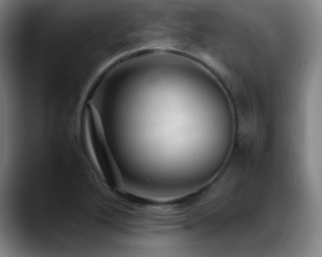 X0000089351272200706151055