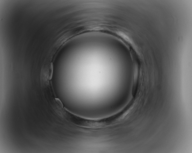 X0000089351273200706151055