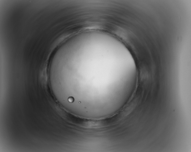 X0000089351274200706151055