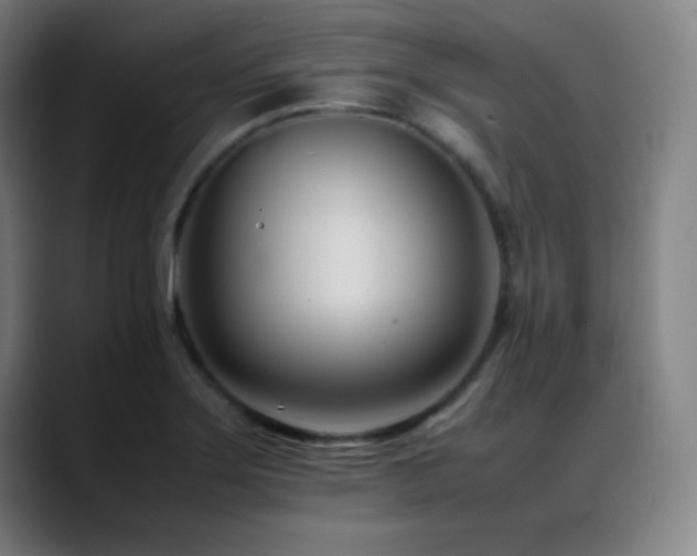 X0000089351275200706151055