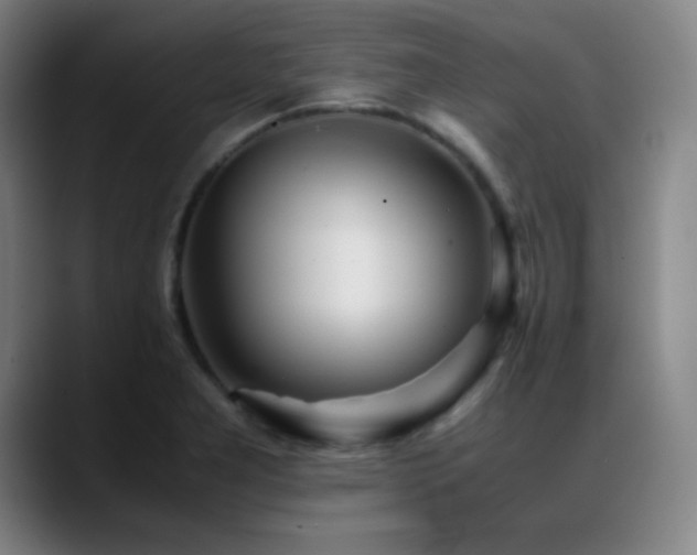 X0000089351277200706151055
