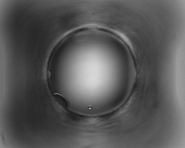 X0000089351279200706151055
