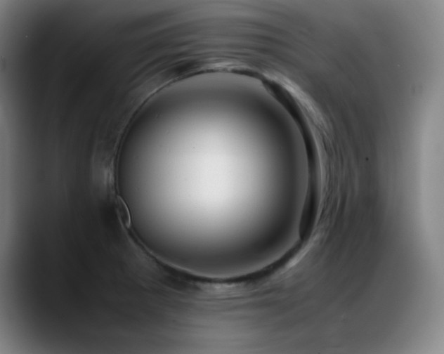 X0000089351281200706151055