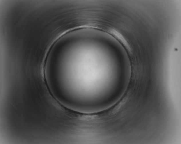 X0000089351284200706151055