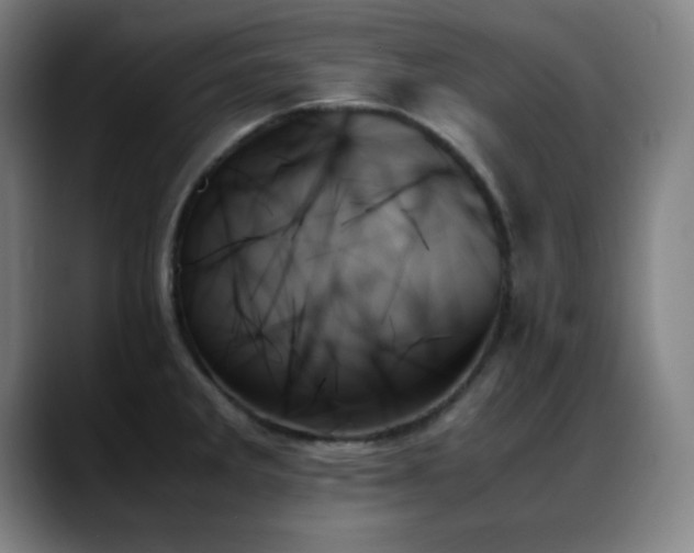 X0000089351285200706151055