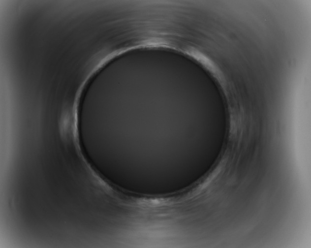X0000089351286200706151055