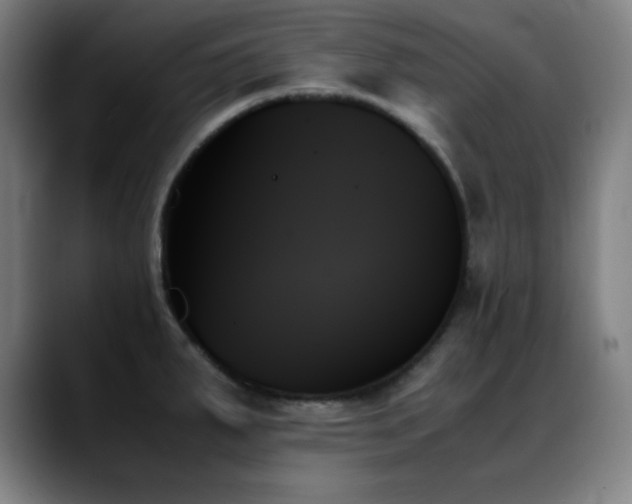 X0000089351287200706151055