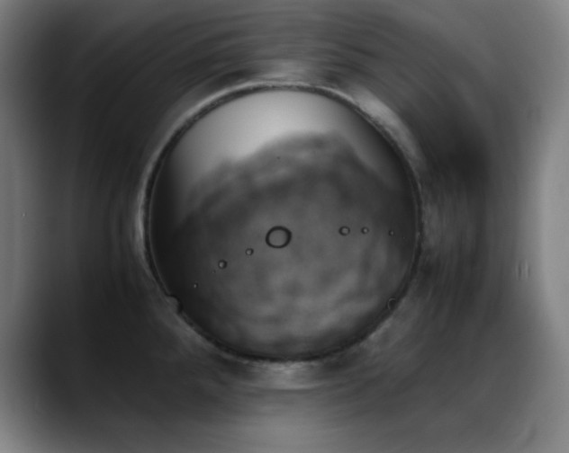 X0000089351288200706151055