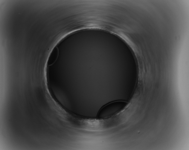 X0000089351291200706151054