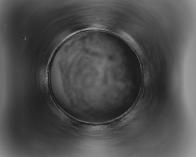 X0000089351292200706151054