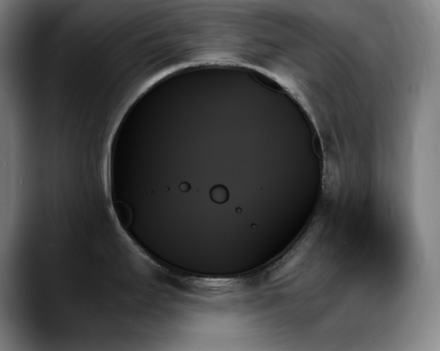 X0000089351295200706151054
