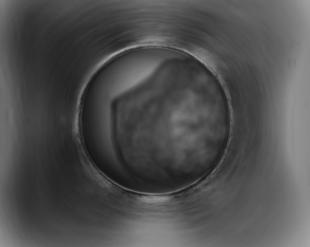 X0000089351296200706151054