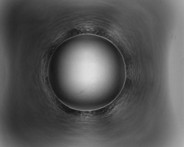 X0000089351297200706151054