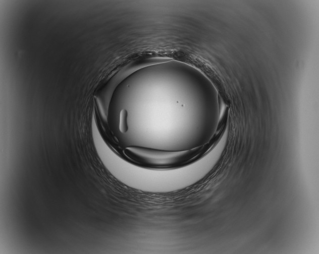 X0000089351298200706151054