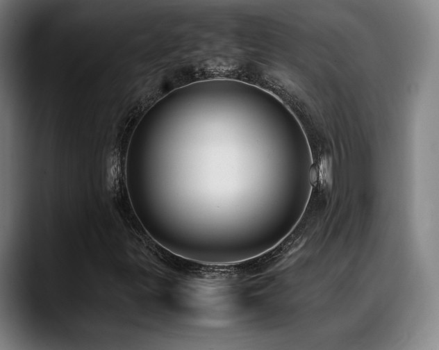 X0000089351299200706151054