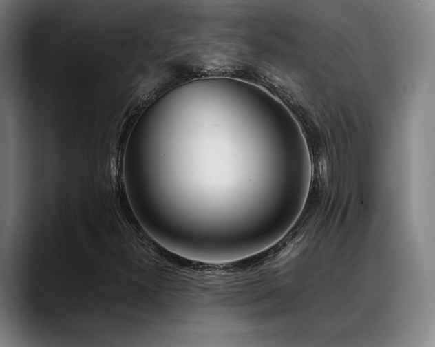 X0000089351300200706151054