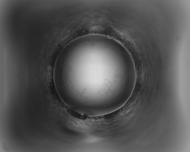 X0000089351301200706151054