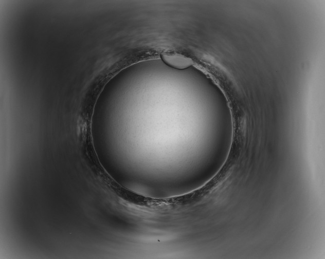 X0000089351302200706151054