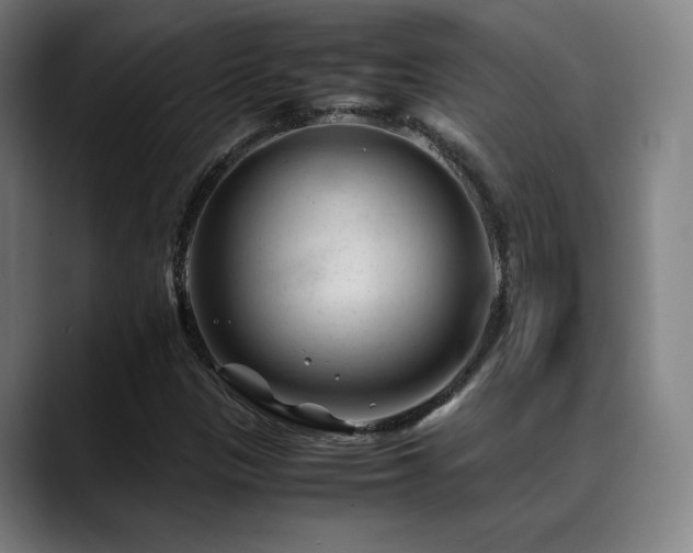 X0000089351305200706151054