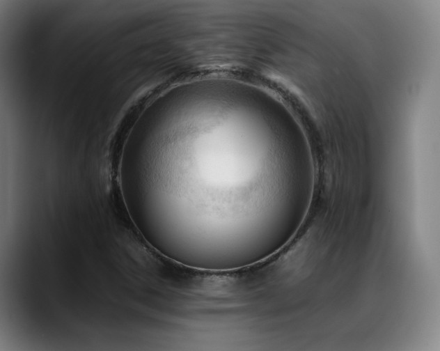 X0000089351306200706151054