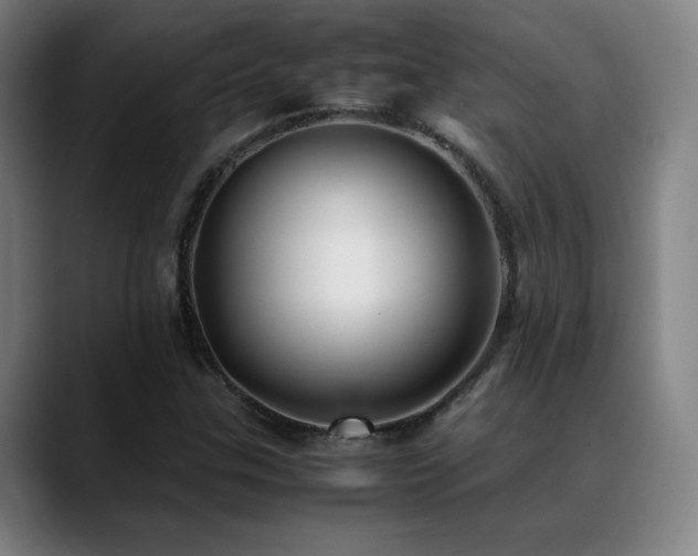 X0000089351307200706151054