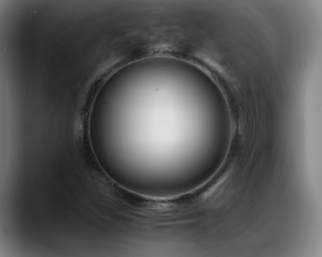 X0000089351309200706151054