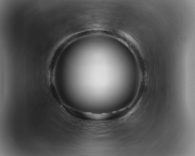 X0000089351310200706151054
