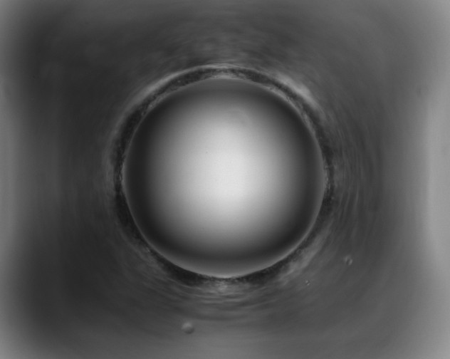 X0000089351311200706151054