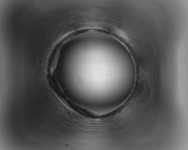 X0000089351312200706151054