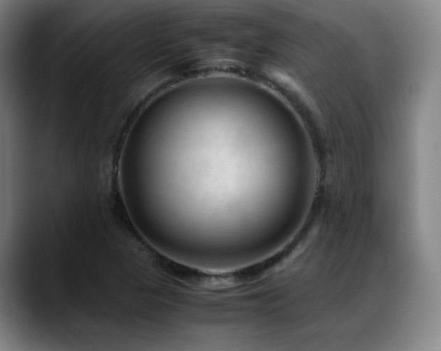 X0000089351313200706151054