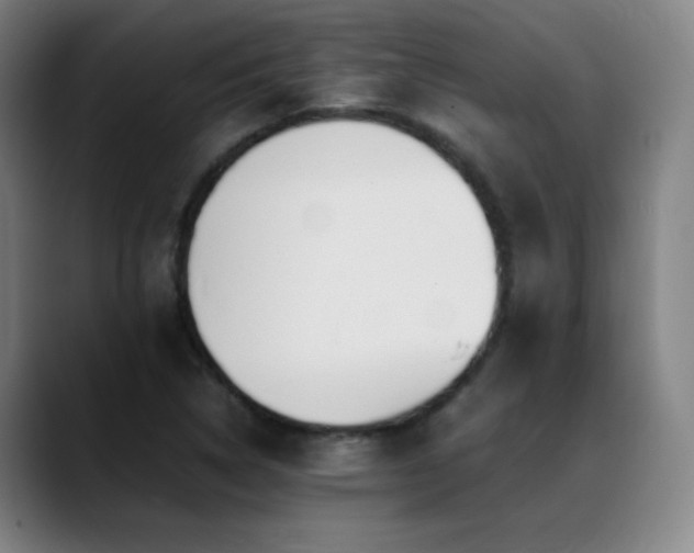 X0000089351314200706151054