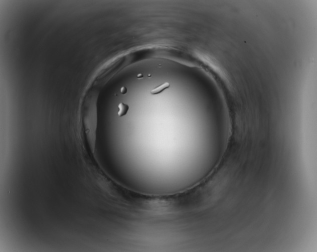 X0000089351316200706151054